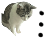 859309894