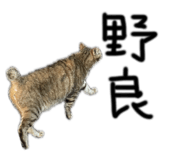 859309896