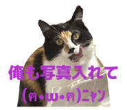 859309951