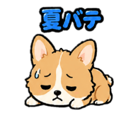 859310087