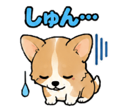 859310098