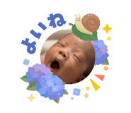 859310186