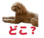 859310242