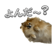 859310790