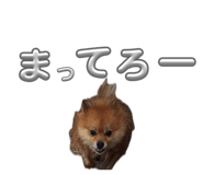 859310792