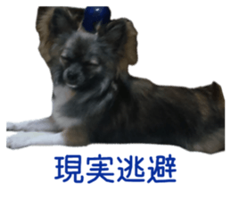 859311024