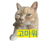 859311129