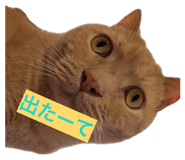 859311130