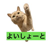 859311131
