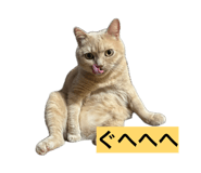 859311134