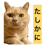 859311135