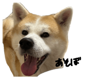 859311159