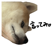 859311160