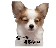 859311165