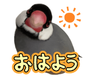 859311330
