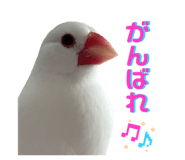 859311331