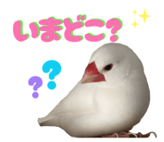 859311333