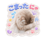 859311337