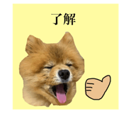 859311383