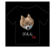 859311384