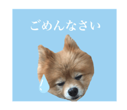 859311386
