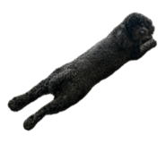 859311626
