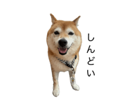 859311649