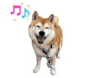 859311652