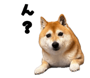 859311654