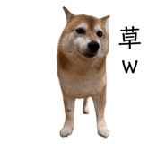 859311656