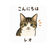 859311690