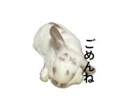 859312186