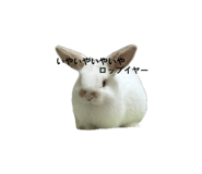 859312188