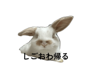 859312189