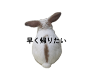 859312191