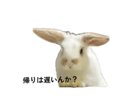 859312192