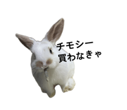 859312193