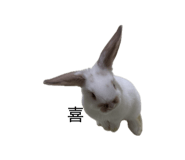 859312195