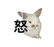 859312196