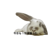 859312200