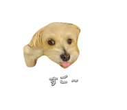 859312241