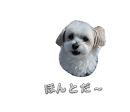 859312243