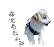 859312244
