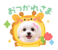 859312289