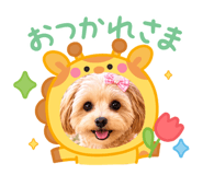 859312290