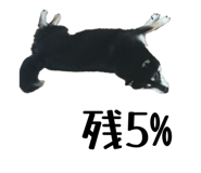 859312470