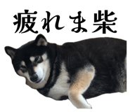 859312473