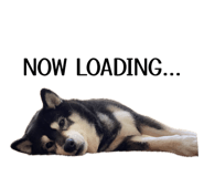 859312476