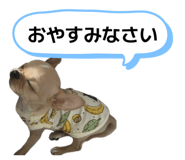 859312508
