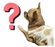 859312511